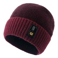 Polyester Knitted Hat unisex Solid : Lot