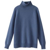 Wool Women Sweater & loose Polyester Solid PC