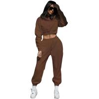 Polyester With Siamese Cap & Crop Top Women Casual Set & two piece Sweatshirt & Pants Solid Set