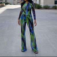 Polyester Women Casual Set & two piece Pants & top printed multi-colored Set