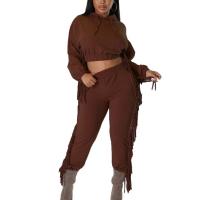 Polyester Women Casual Set & two piece Long Trousers & Sweatshirt Solid Set