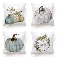 Plush Throw Pillow Covers without pillow inner PC