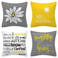 Plush Throw Pillow Covers without pillow inner printed PC