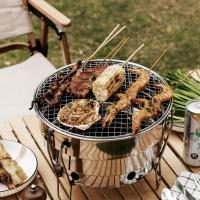 Stainless Steel Outdoor Barbecue Grill portable Solid PC