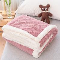Polyester Blanket plain dyed Solid PC