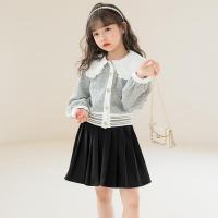 Polyester Girl Clothes Set & two piece skirt & top silver Set