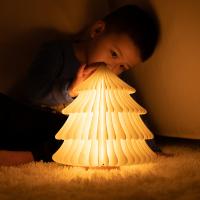Beech wood & Paper different light colors for choose & foldable Night Lights christmas design PC