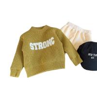 Cotton Slim Girl Sweater & thermal knitted letter PC
