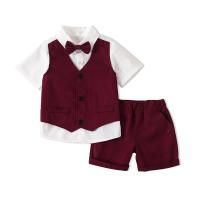 Polyester & Cotton Boy Summer Clothing Set & two piece Pants & top Set