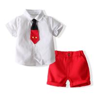 Cotton Boy Summer Clothing Set & two piece Pants & top plain dyed Set