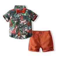 Cotton Boy Summer Clothing Set & two piece Pants & top printed reddish orange Set