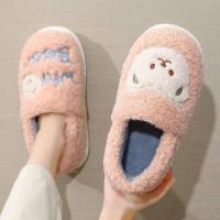 Plush Fluffy slippers & anti-skidding & thermal embroidered Cartoon Pair