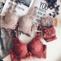 Lace Push Up Bra and Panties Set Polyester plain dyed Solid Set