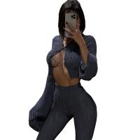 Polyester Crop Top Women Casual Set & hollow knitted Solid gray PC