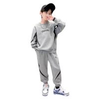 Cellulose Acetate Fibre Boy Clothing Set & two piece & loose Sweatshirt & Pants Solid Set