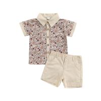 Polyester & Cotton Boy Summer Clothing Set & two piece Pants & top printed shivering gray Set