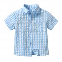 Polyester & Baumwolle Junge Shirt, Plaid, himmelblau,  Stück