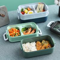 Polystyrene & 304 Stainless Steel & Polypropylene-PP Lunch Box portable & double layer Sliver Plated Cats PC