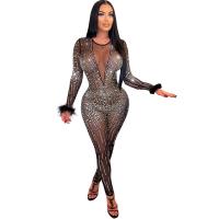 Spandex & Polyester Slim Long Jumpsuit see through look Solid black PC