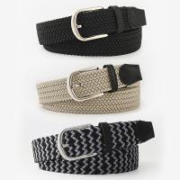 Iron & PU Leather Easy Matching Fashion Belt flexible weave PC