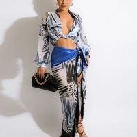 Polyester Two-Piece Dress Set slimming printed blue Set