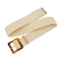 PP Straw & PVC Easy Matching & Vintage Fashion Belt weave Bag