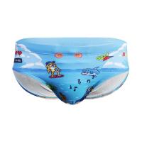 Spandex & Polyester Men Swimming Brief flexible & breathable printed Cartoon blue PC