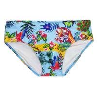 Spandex & Polyester Men Swimming Brief flexible & breathable printed animal prints mixed colors PC