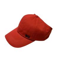 Polyester and Cotton Easy Matching Flatcap sun protection & breathable embroidered letter PC