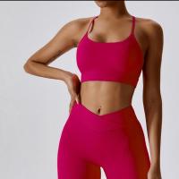 Polyamide & Spandex Femmes Yoga Tops Solide plus de couleurs pour le choix pièce