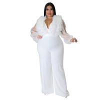 Polyester Plus Size Long Jumpsuit see through look Others PC