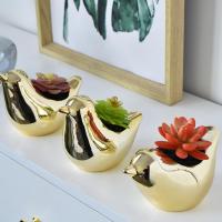 Ceramics Flower Pot Plants are not included & breathable gold PC