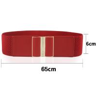 PU Leather & Zinc Alloy & Nylon & Polyester Concise & Easy Matching Fashion Belt flexible gold color plated Solid PC