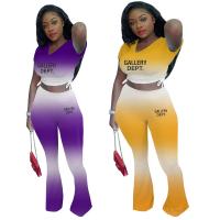 Polyester Vrouwen Casual Set rekbaar Solide meer kleuren naar keuze Instellen