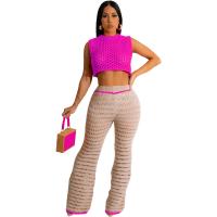 Polyester Wide Leg Trousers Women Casual Set see through look & two piece & hollow stretchable Solid Set