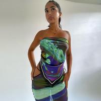 Spandex Sheath Two-Piece Dress Set & two piece & tube printed multi-colored Set