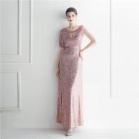 Polyester Slim Long Evening Dress see through look embroidered PC