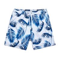 Polyester Mannen Beach Shorts Afgedrukt ander keuzepatroon meer kleuren naar keuze stuk