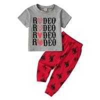 Cotton Slim Girl Clothes Set & two piece Pants & top printed Others multi-colored Set