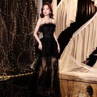Sequin & Polyester Waist-controlled Long Evening Dress see through look & tube embroidered Solid PC