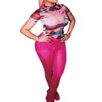 Polyester Women Casual Set see through look & skinny Long Trousers printed fuchsia Set