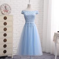 Polyester Slim & Plus Size Long Evening Dress & tube embroidered sky blue PC