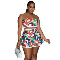 Polyester Two-Piece Dress Set & two piece & tube printed Set
