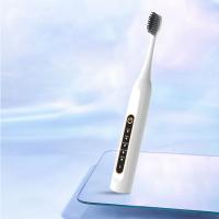 Engineering Plastics Ultrasonic Electric Toothbrush Rechargeable painted PC