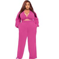 Polyester Plus Size Women Casual Set irregular & deep V & two piece Solid Set