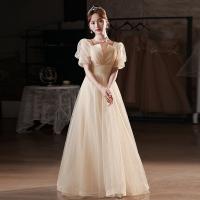 Polyester Slim & Plus Size & High Waist Long Evening Dress champagne PC