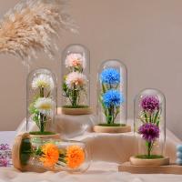 Pine & Artificial Silk & High borosilicate glass & Plastic Creative Preserved Flower Decoration for gift giving PC