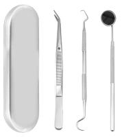 Rvs Dental Cleaning Kit Zilveren Instellen