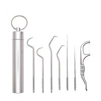 Stainless Steel Dental Cleaning Kit multiple pieces & portable silver Set