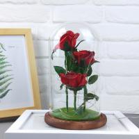 Pine & High borosilicate glass Creative Preserved Flower Decoration for home decoration red PC